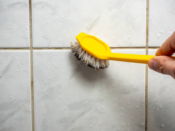 Best Mold Testing and Inspection Services in Blennerhassett, WV